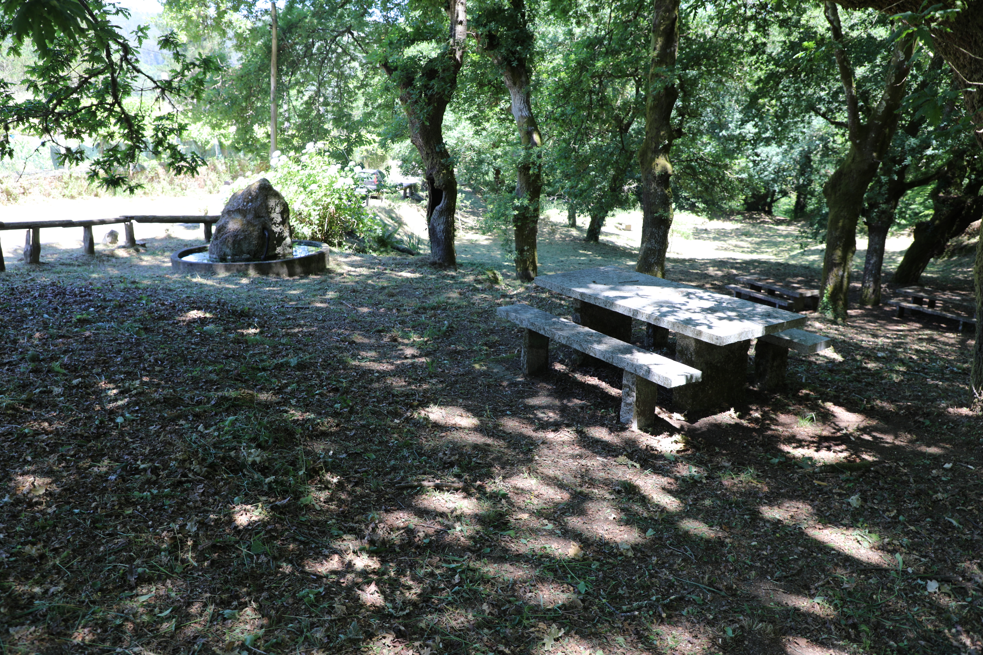 Area recreativa das Conforcadas