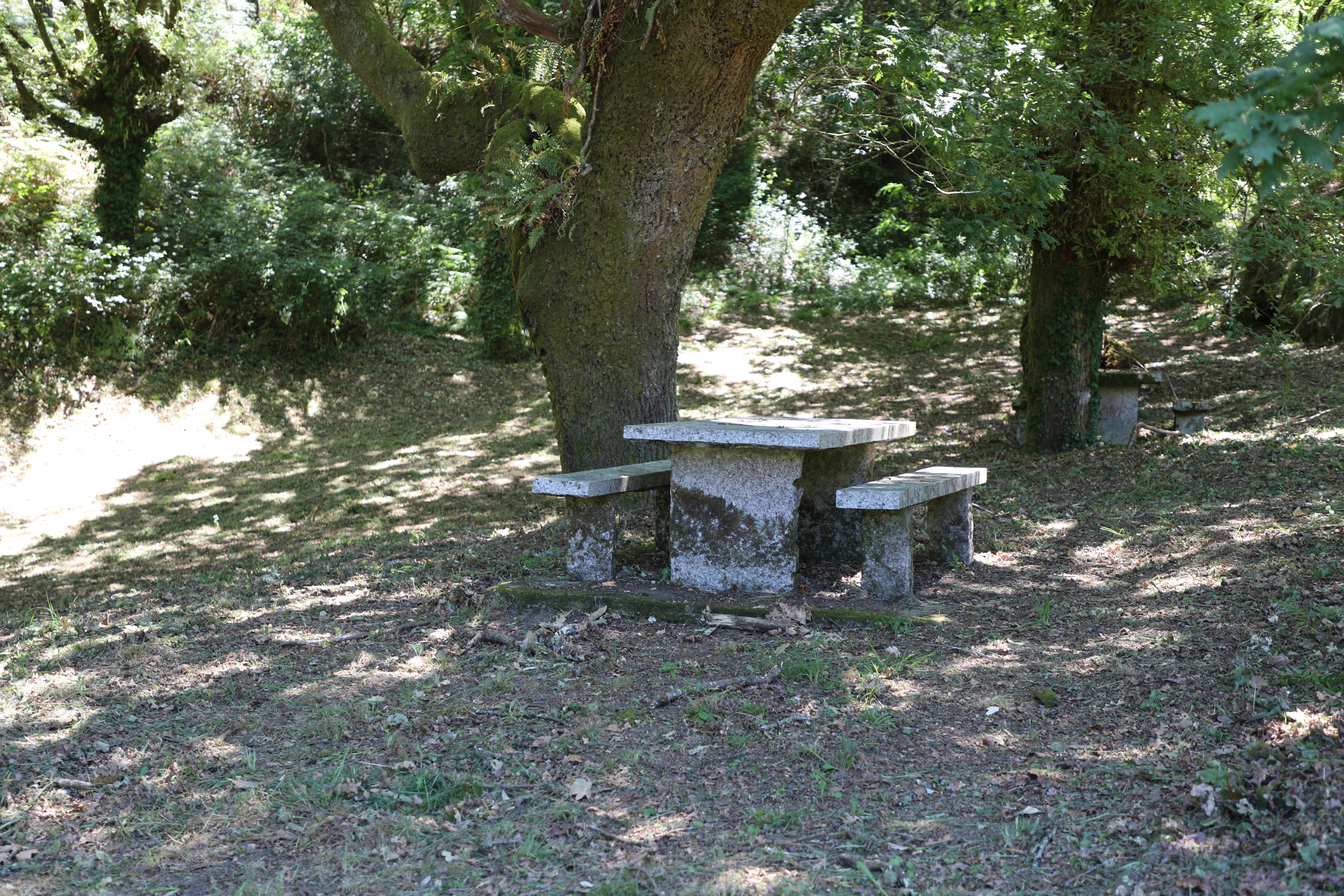 Area recreativa das Conforcadas