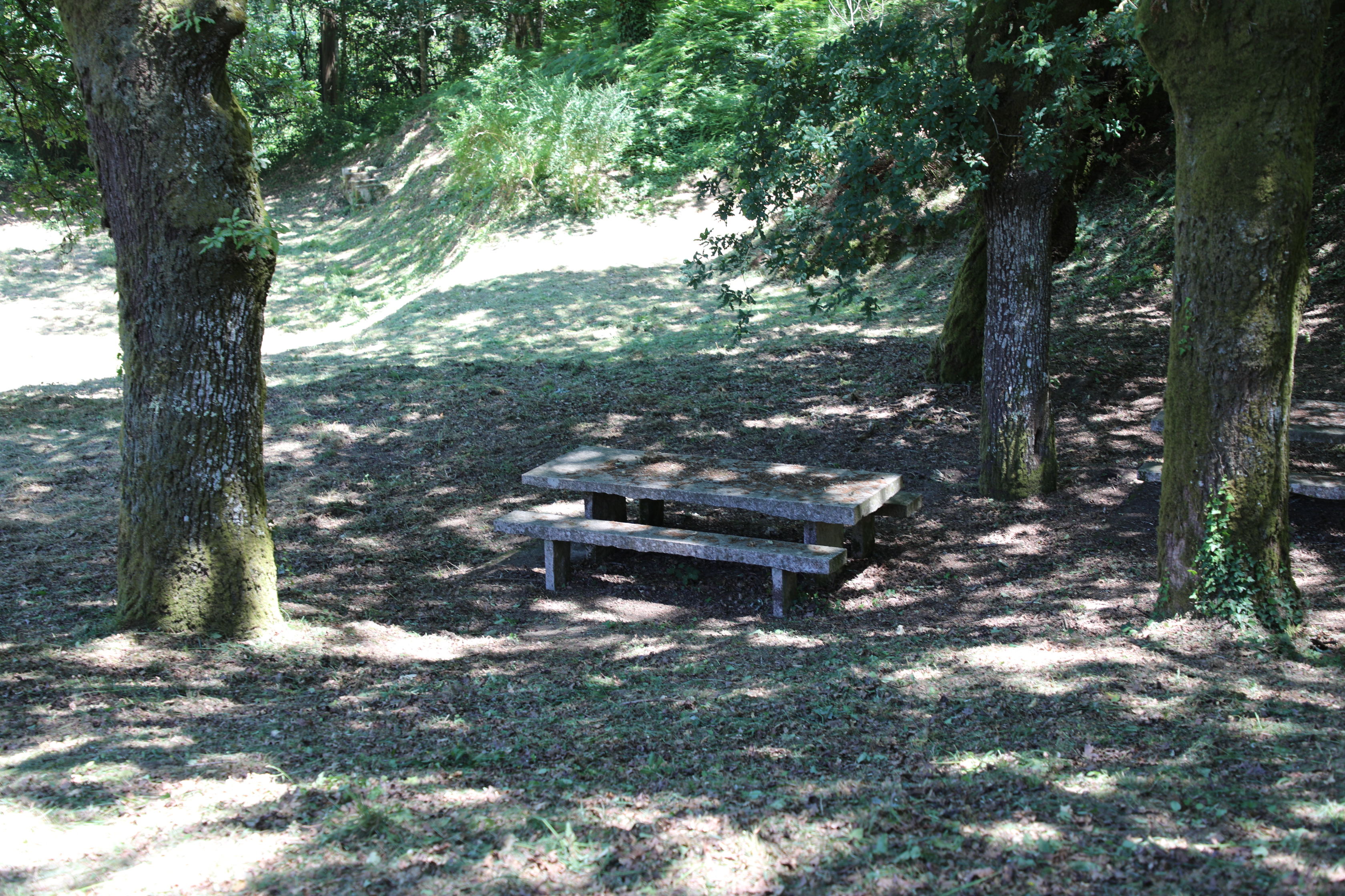 Area recreativa das Conforcadas