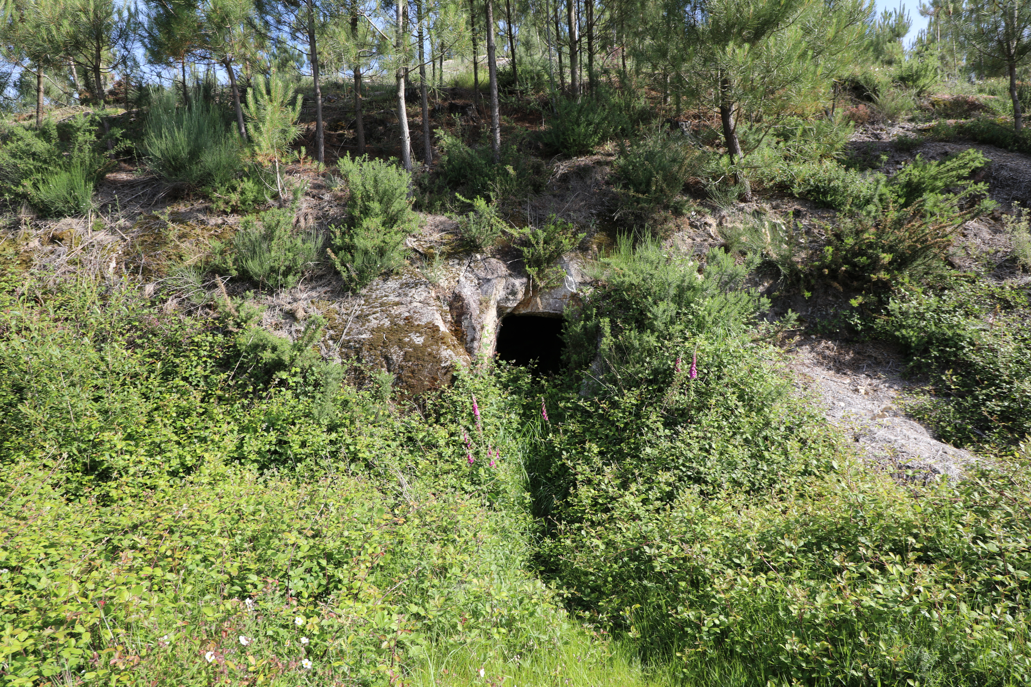 Furnas da Ribadeira