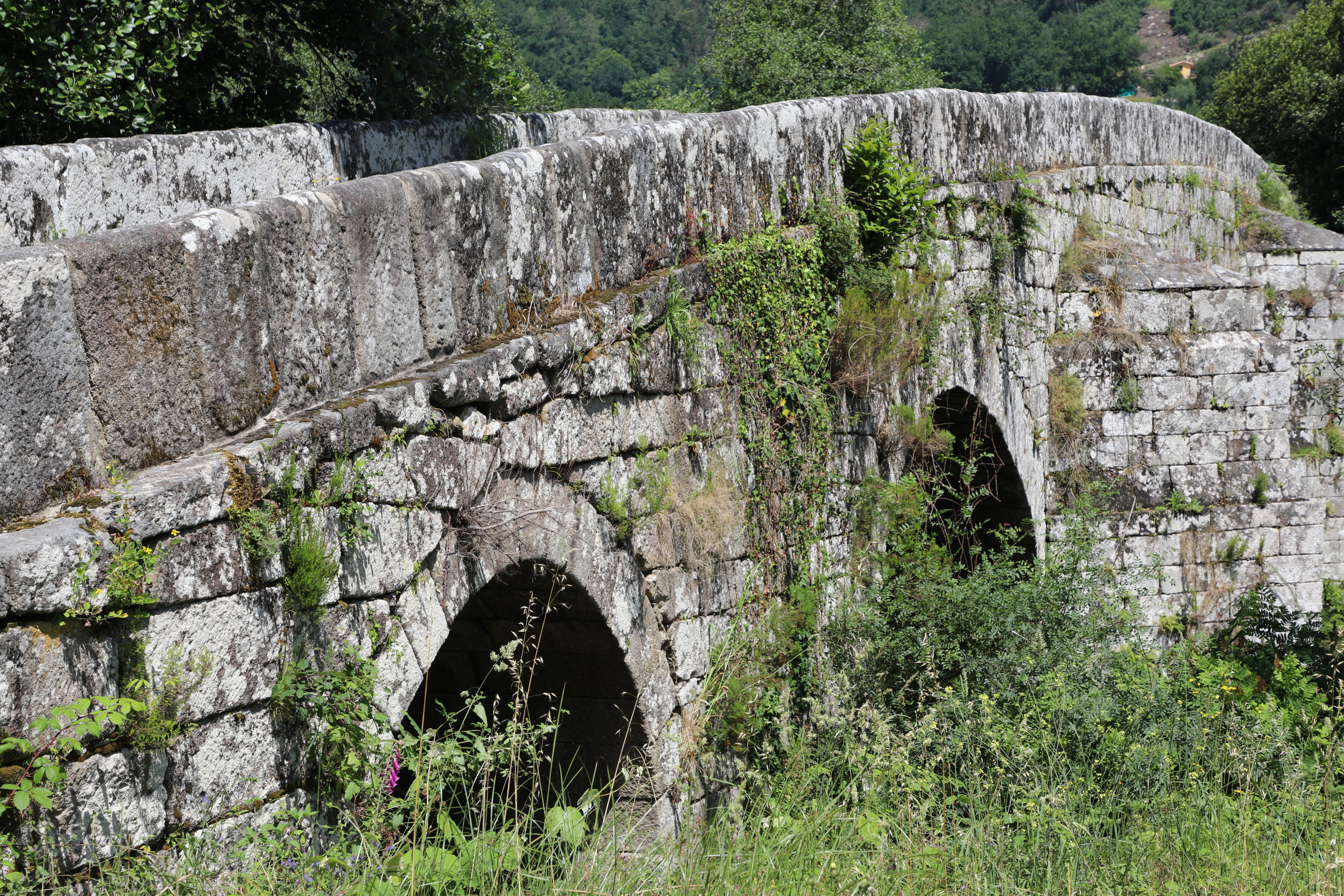 Ponte da Cernadela