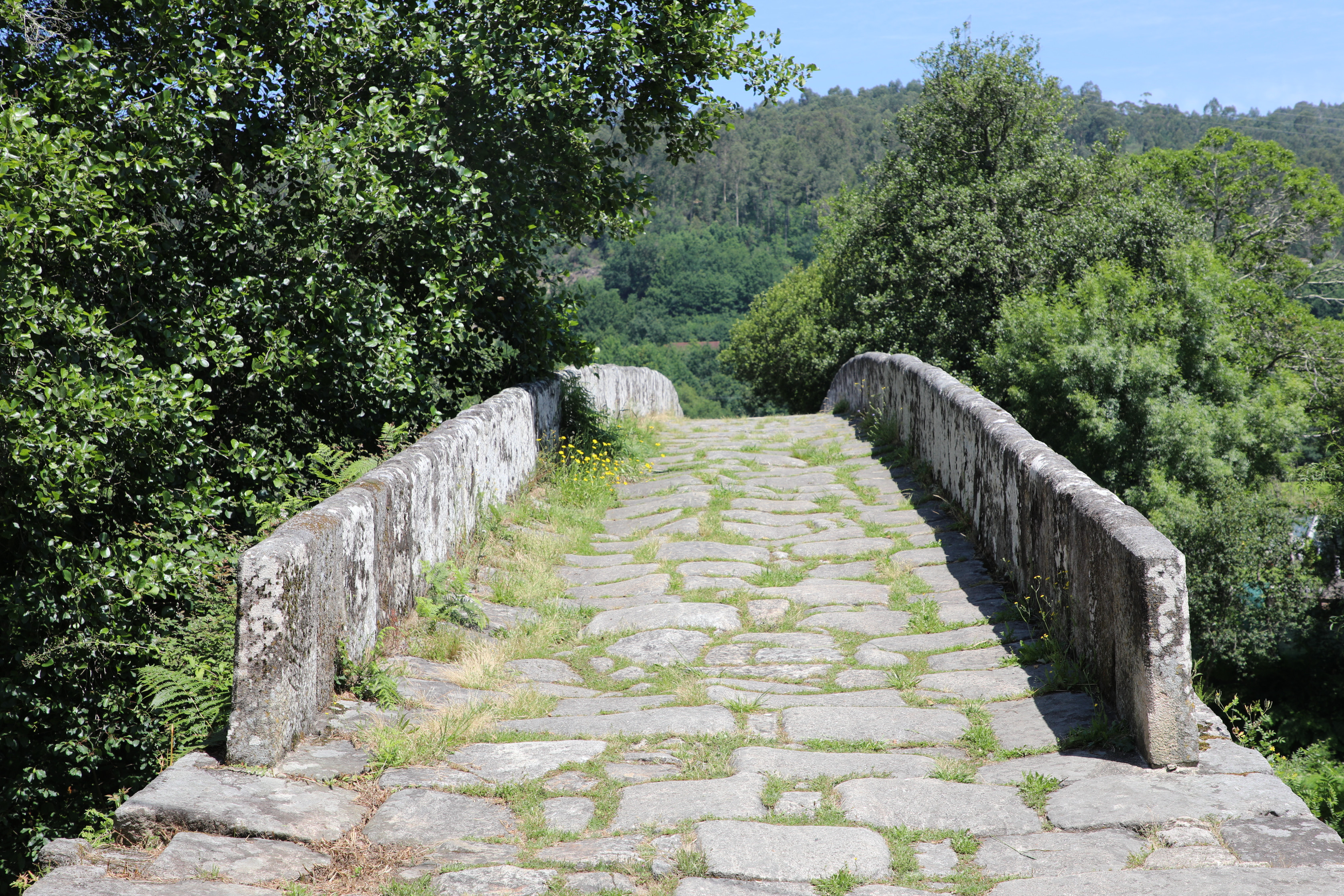 Ponte da Cernadela