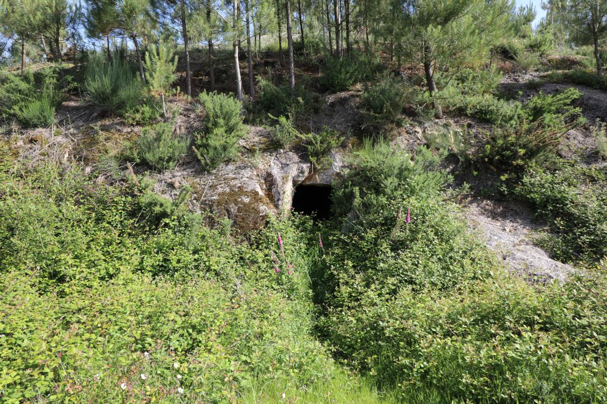 Furnas da Ribadeira